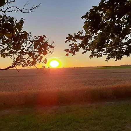 アパート Retreat With Garden & Family Amenities *